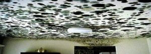 mould on ceiling in a room